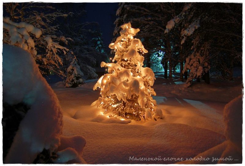 Маленькой елочке...photo preview