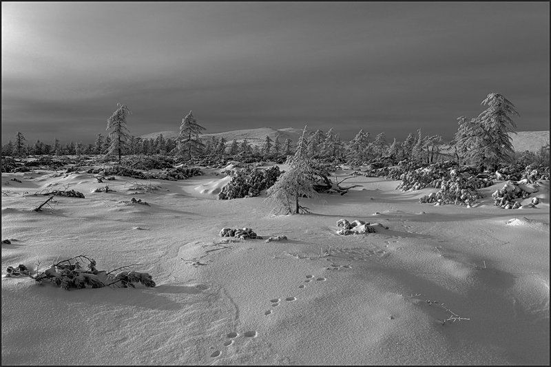 Прыг - скок...photo preview