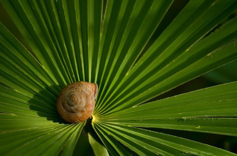 Спираль и центробежностьphoto preview