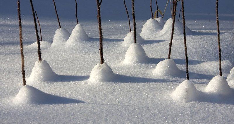 Гномики живут в этих домикахphoto preview