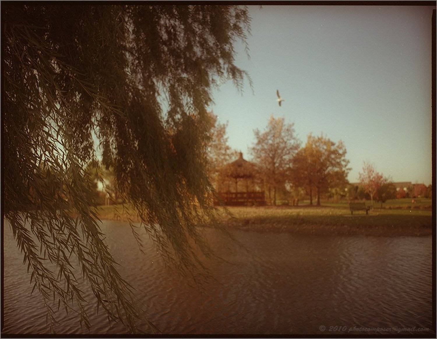 Одинокая..... Автор: Pilgrim пейзаж, pilgrim, Pilgrim