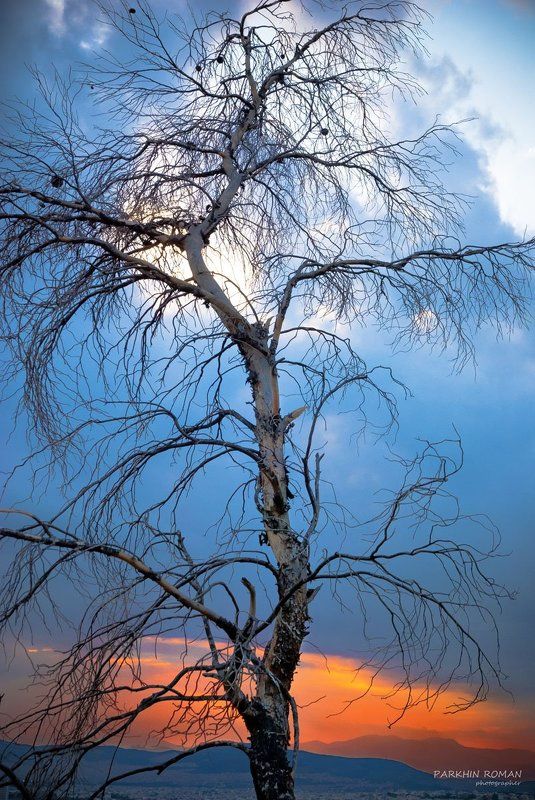 greece, pendeli, sunset, athens, ellada Solitude...photo preview