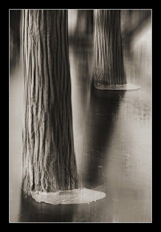 в юбкахphoto preview