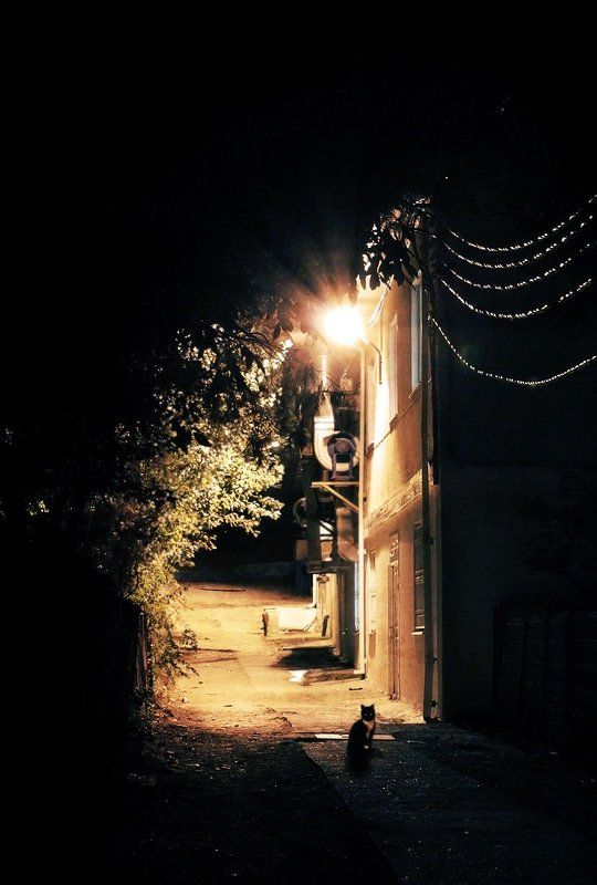 Встреча фото превью