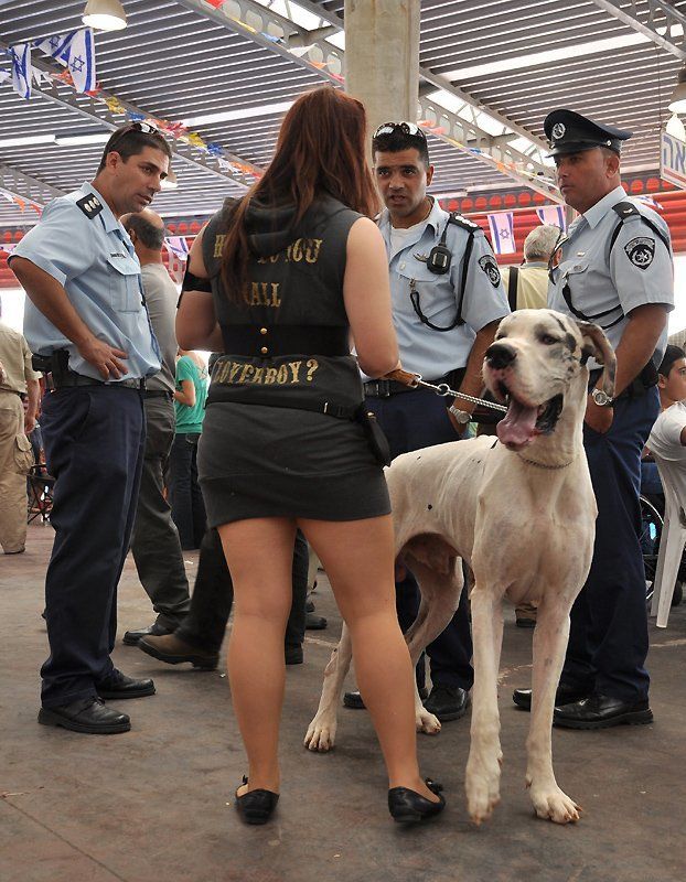 дог где ваш намордник,девушка!?photo preview