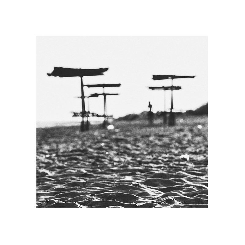 __fragility__photo preview