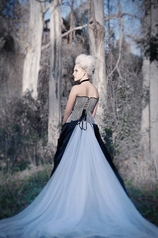 Королевишнаphoto preview