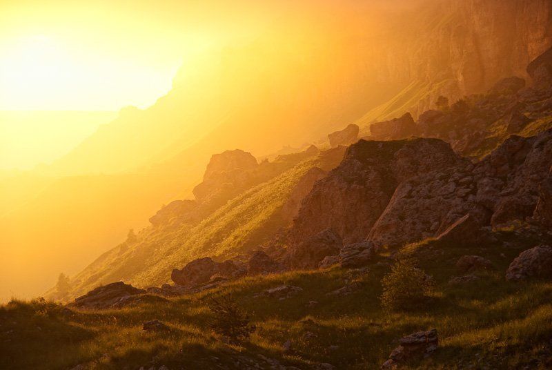 Sunshinephoto preview