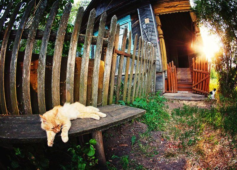 wwwest Дом дедушкиphoto preview