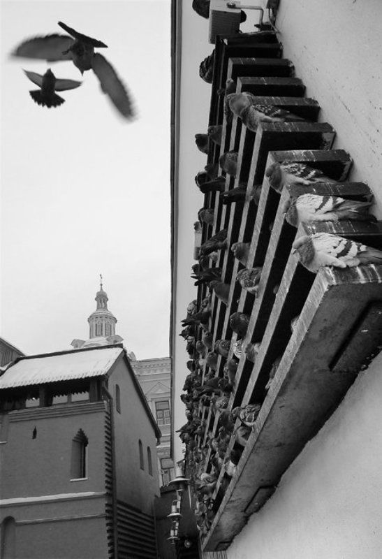 Морозphoto preview