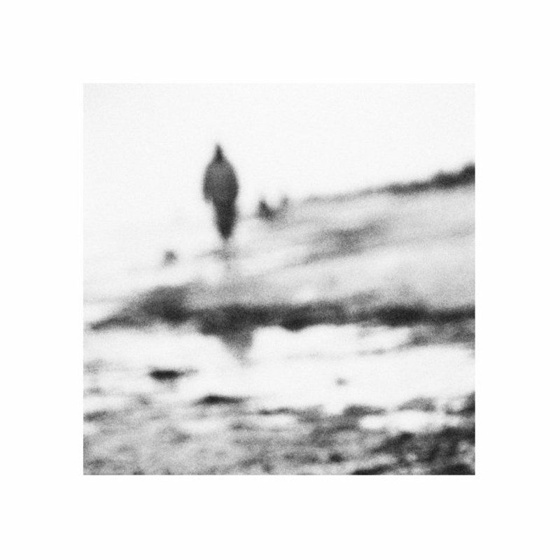 __man in red__photo preview