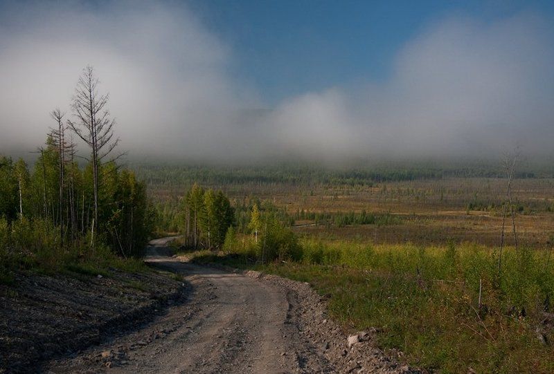 тайга, пейзажи, август 2010, софийск, хабаровский край тайга...photo preview