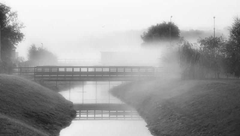 morning, fog утроphoto preview