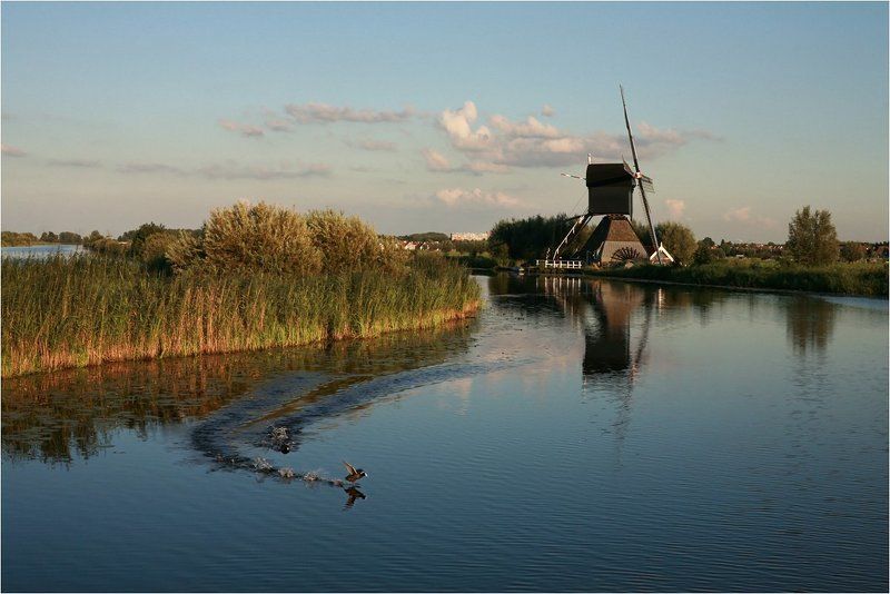 Киндердайк. Летний вечер.photo preview