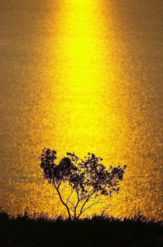 Золотой Кандры-Кульphoto preview