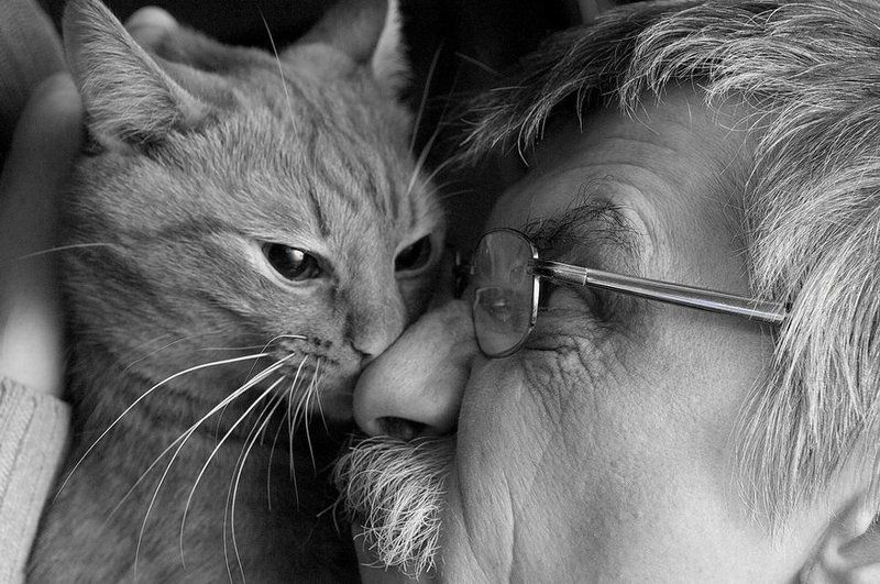 Родственные души (2007)photo preview