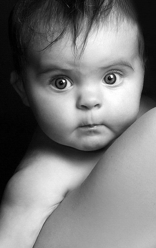 взгляд на жестокий Мир...photo preview