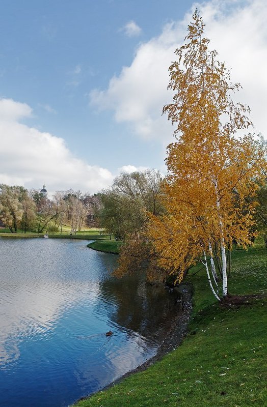 Осенняя палитраphoto preview