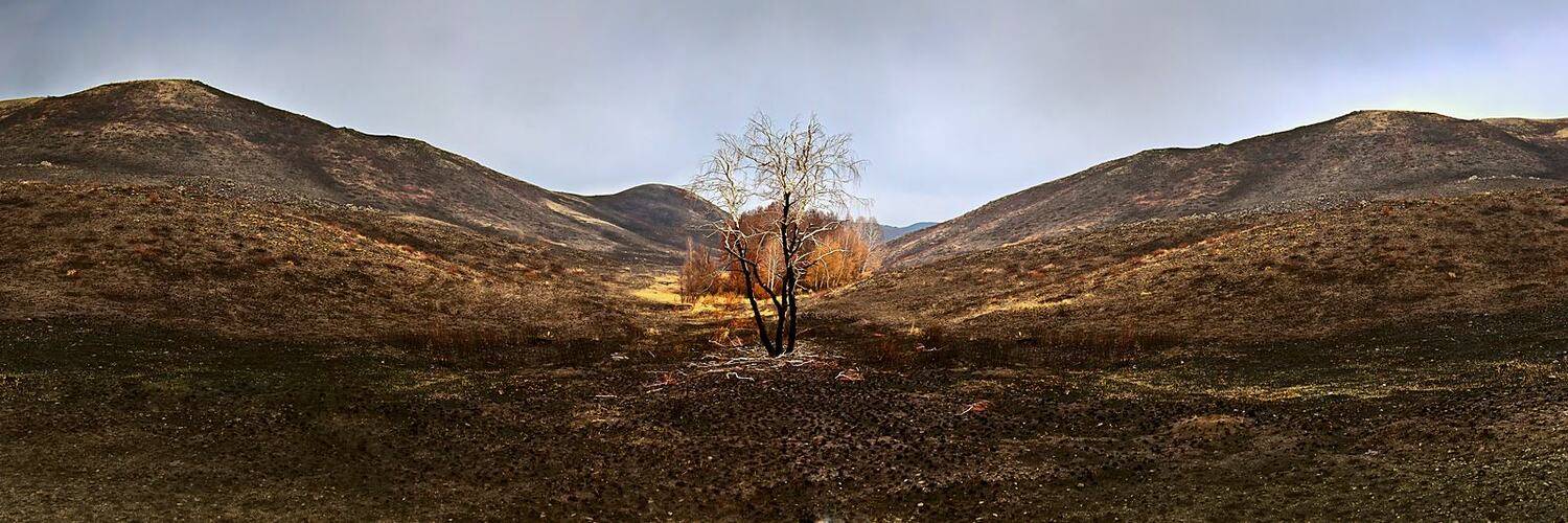 панорамма, Качурин Алексей