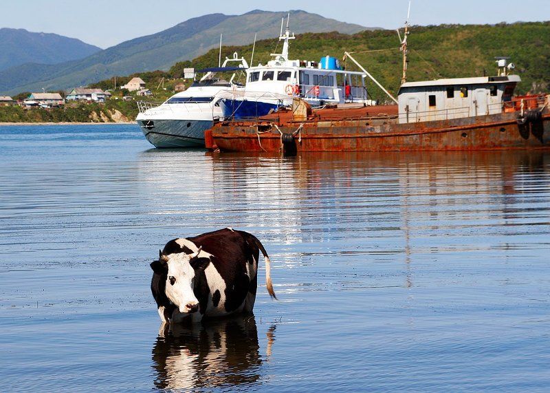 а кто в город?photo preview