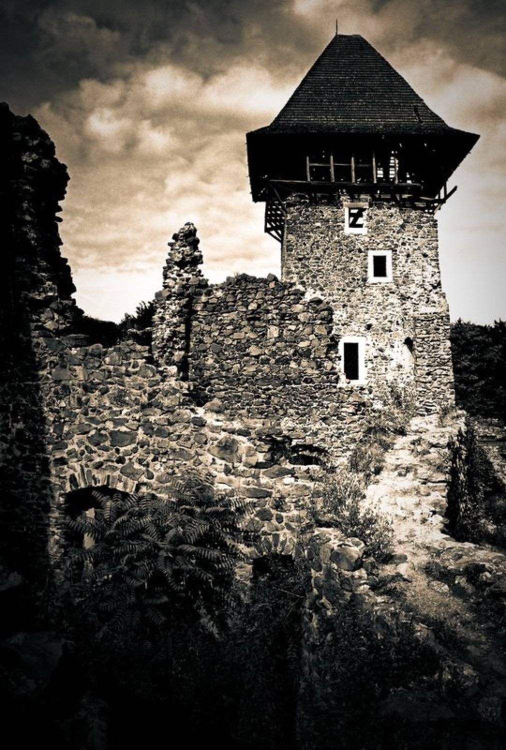 ***. Автор: Игорь Филипенко , Игорь Филипенко