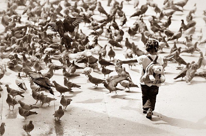 Девочка и голубиphoto preview