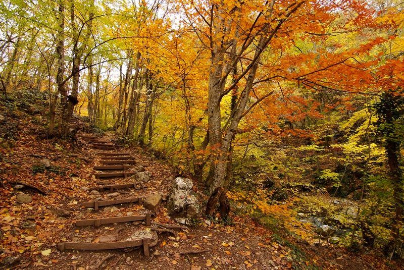 лестница в небоphoto preview