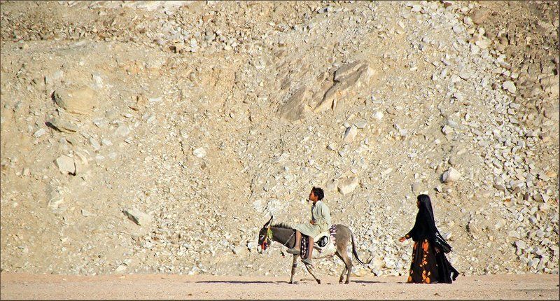 в, город, дети, ослик, египет, пустыня В город фото превью