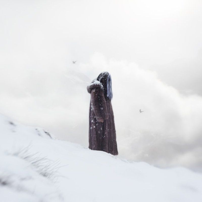 Stagnationphoto preview