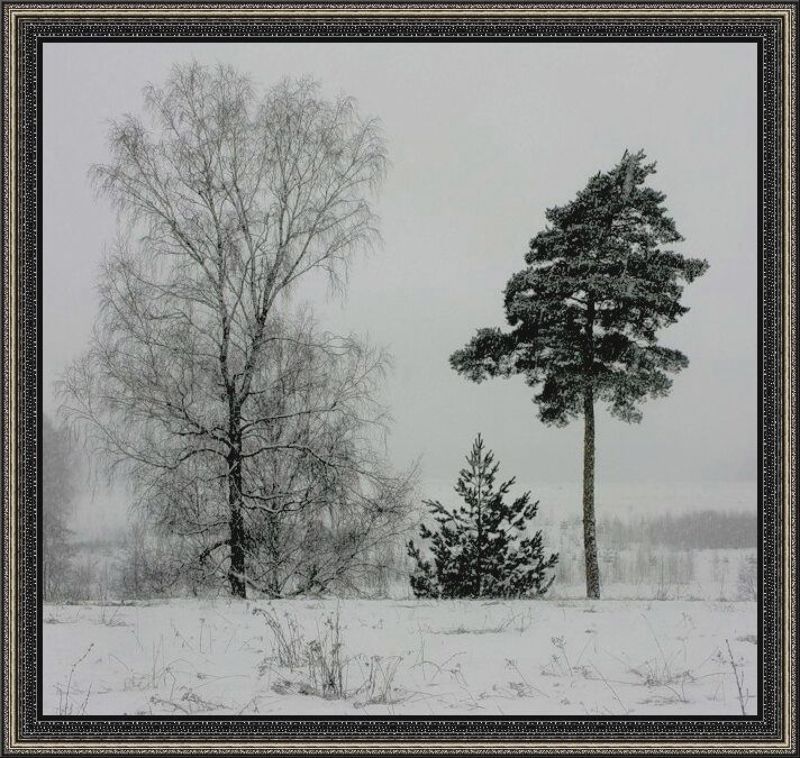 Первый ...photo preview