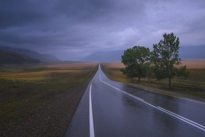 Чуйский тракт, Горный Алтайphoto preview