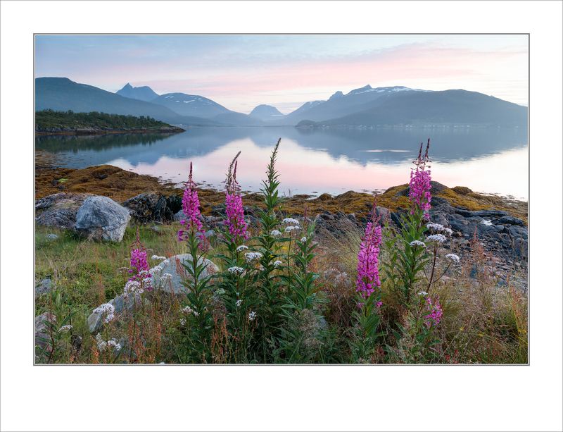 Вечерняя идиллияphoto preview