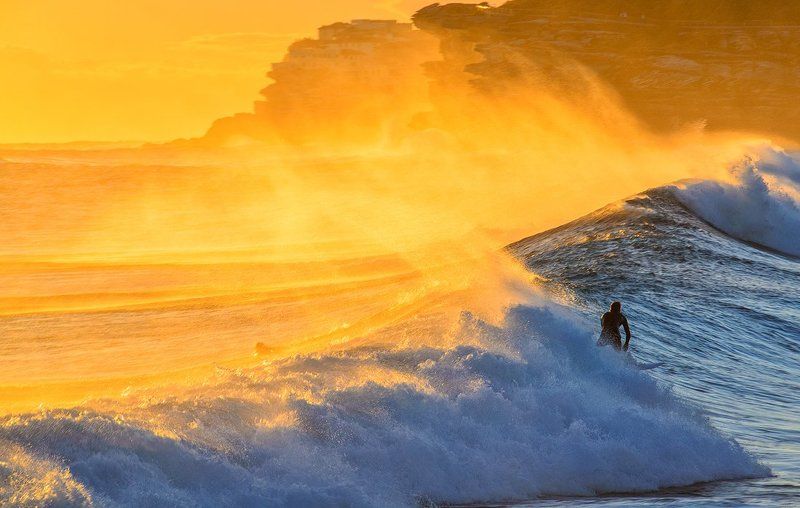 australia Золотой сёрфphoto preview