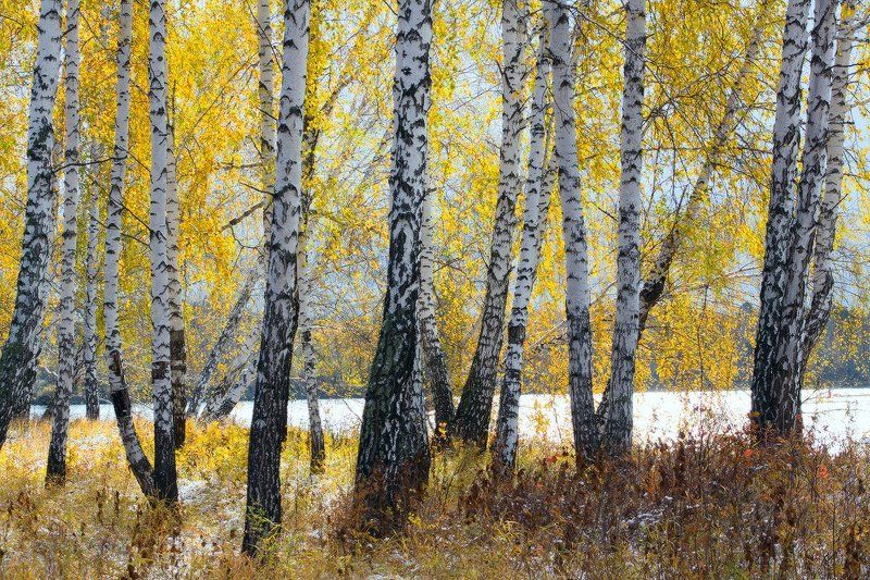 Прогулка в осеньphoto preview