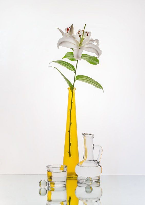 Лилияphoto preview