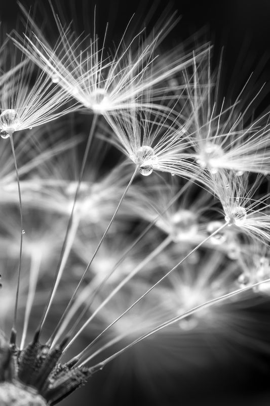 Лёгкость...photo preview