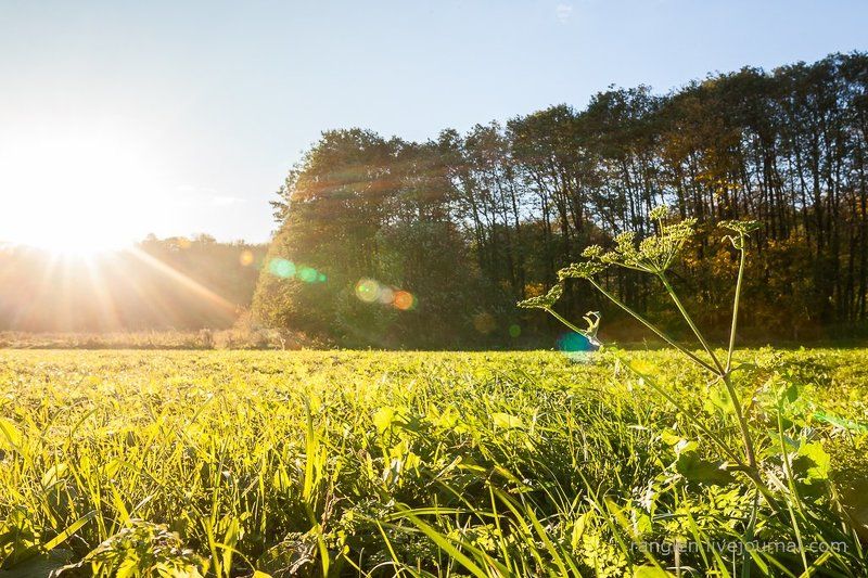 коломенское, москва, осень, золотая, небо, пейзаж Вечер на лугуphoto preview