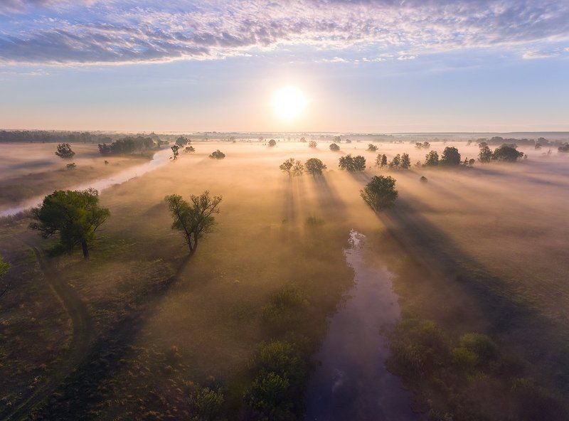 деревья, туман, рассвет, озеро, тень, солнце ***photo preview