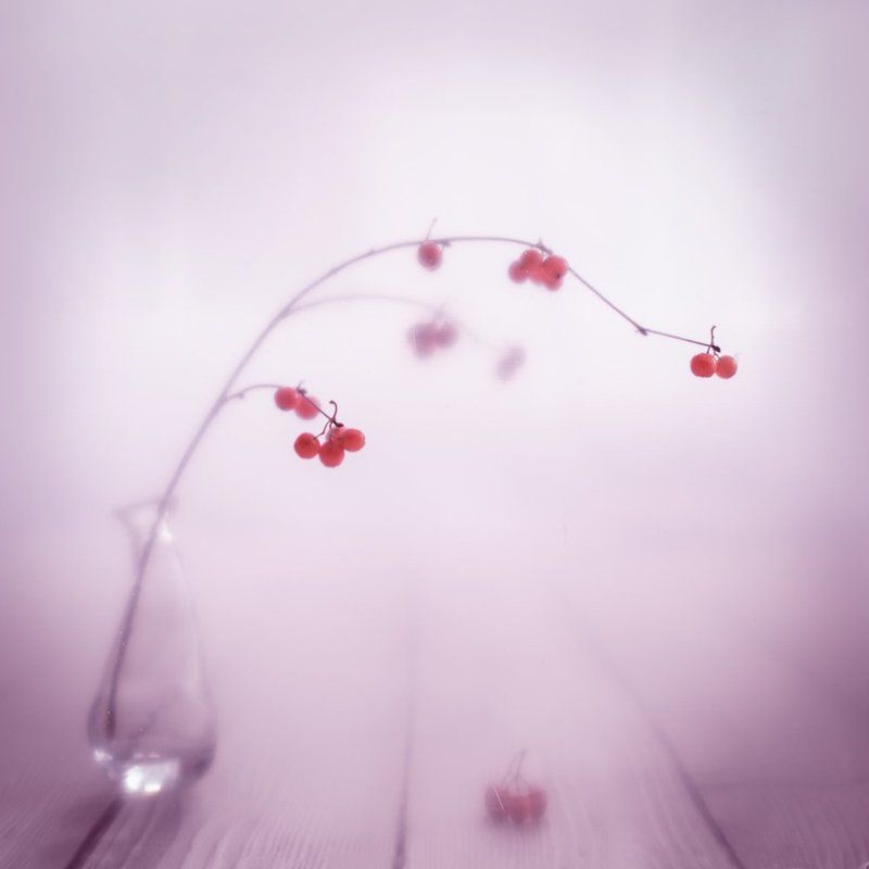 Хрупкость фото превью