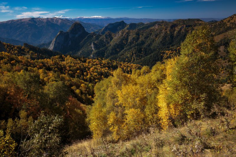 Золото Адыгеиphoto preview