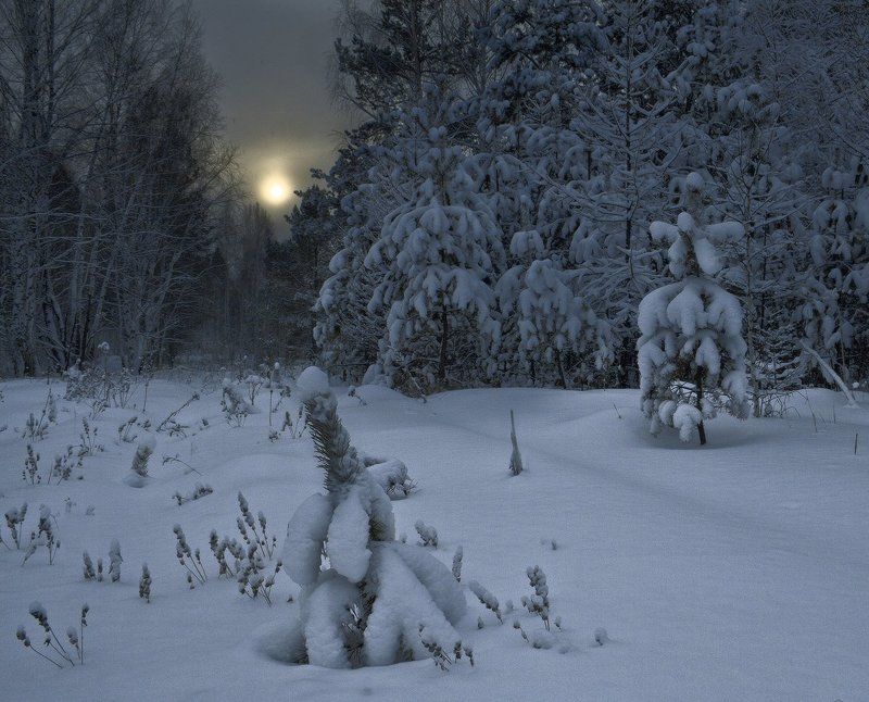 Синие сумеркиphoto preview