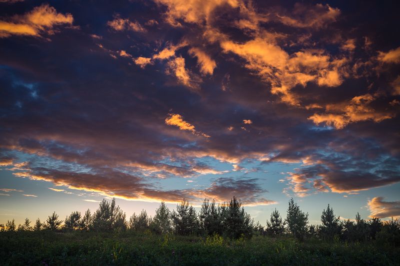 закат, лес, деревья, облака, небо, свечение, цвет, свет, ***photo preview
