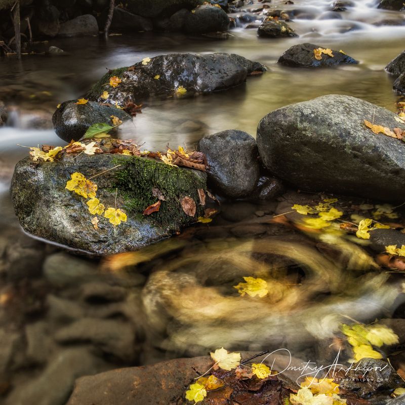 осень,  северный кавказ Осень на Северном Кавказеphoto preview