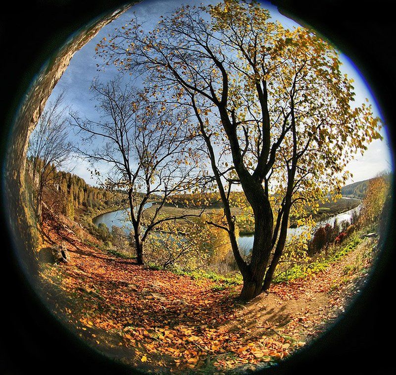 Вот такая ОСЕНЬ получилась на ПЕЛЕНГ-8photo preview