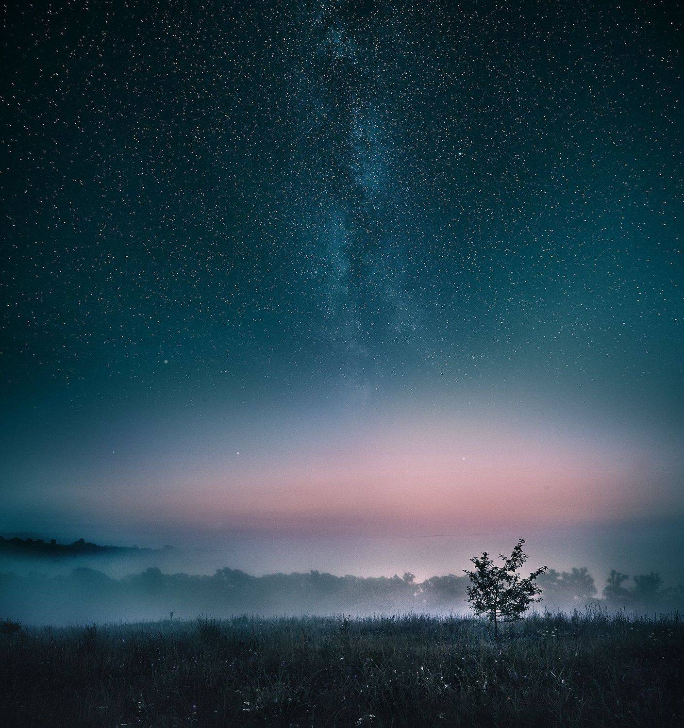 Грезы. Автор: Каревский Дмитрий , Каревский Дмитрий