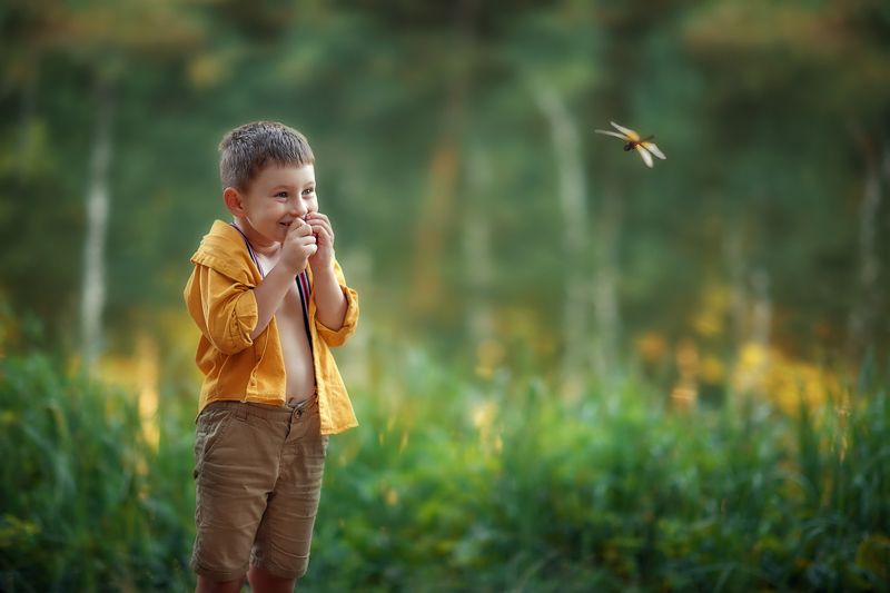 Стрекозаphoto preview