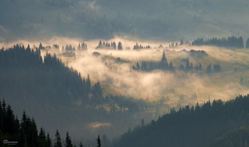 рассвет., , туман., , карпаты., , горы *** фото превью