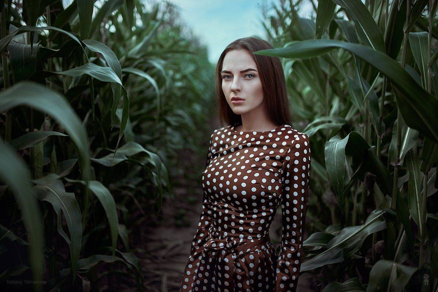 , Тихомиров Николай