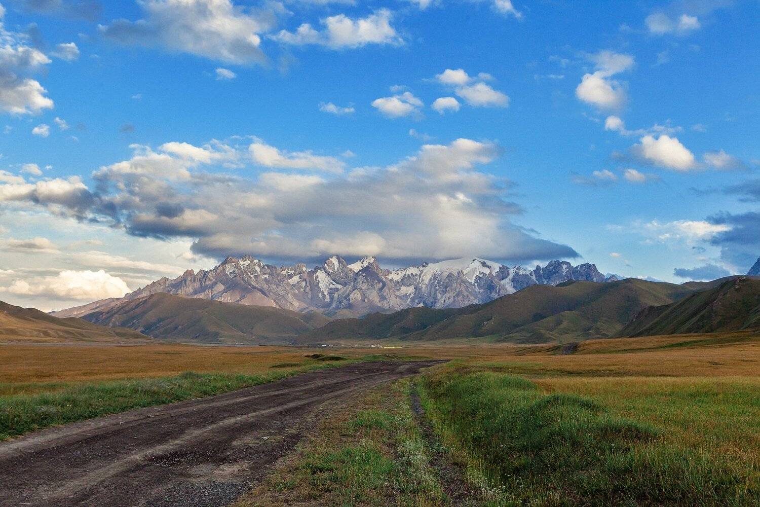 , Илья Афанасьев