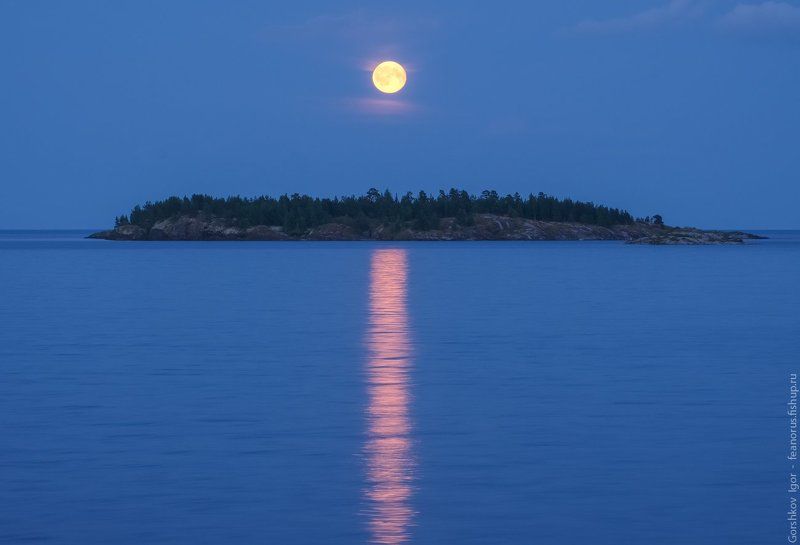 ладога,пейзаж,природа,вечер,луна, остров,россия,озеро,небо,полнолуние,ночь Полнолуние над Ладогойphoto preview